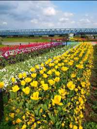 Colorful Rainbow Park in Japan