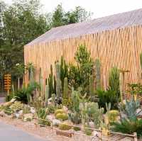 Chan nature cafe’