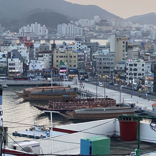 동피랑 마을이 한눈에 보이는 카페, 루미노소 💙