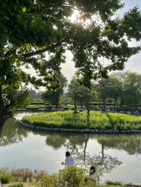 수원 당일치기 여행🌷