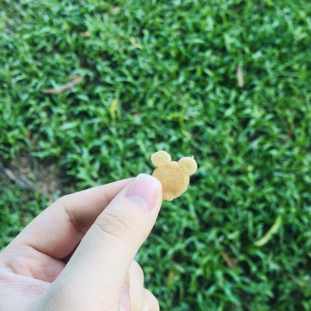 野餐🧺首選——迪欣湖