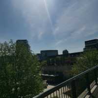 walk around lasi 
