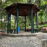 Montanha Russa Garden 