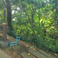서귀포 여행 중 삼매봉 공원 정상에서 휴식