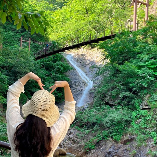 설악산도 가고 먹방도 찍으러 속초여행