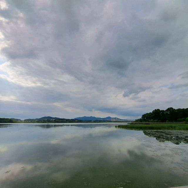 韓國景點😍義王鐵道自行車☺️40分鐘邊踩單車邊睇靚風景📸
