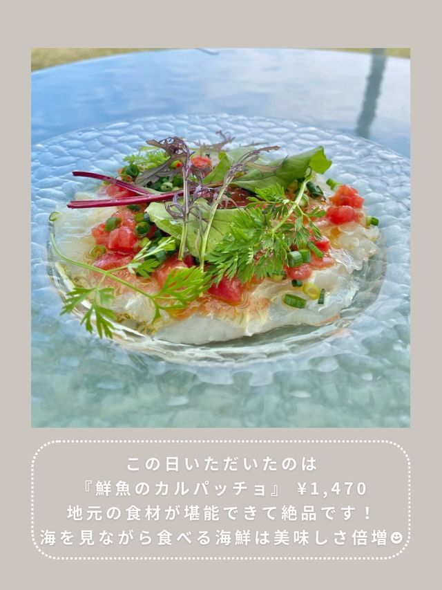 【横須賀】わんこと行けるおしゃれランチ🌿