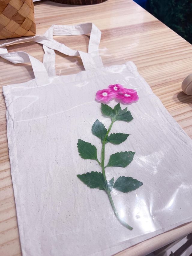 🌟夏日好去處🤗 💚如心廣場 × 如心園―如．森之旅 🌿