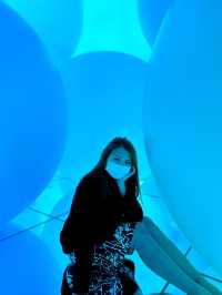 Digital Arts Journey at TeamLab Planets