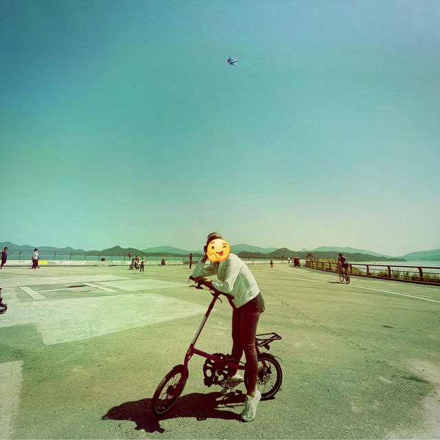 沙田單車遊🚲