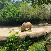 Singapore zoo