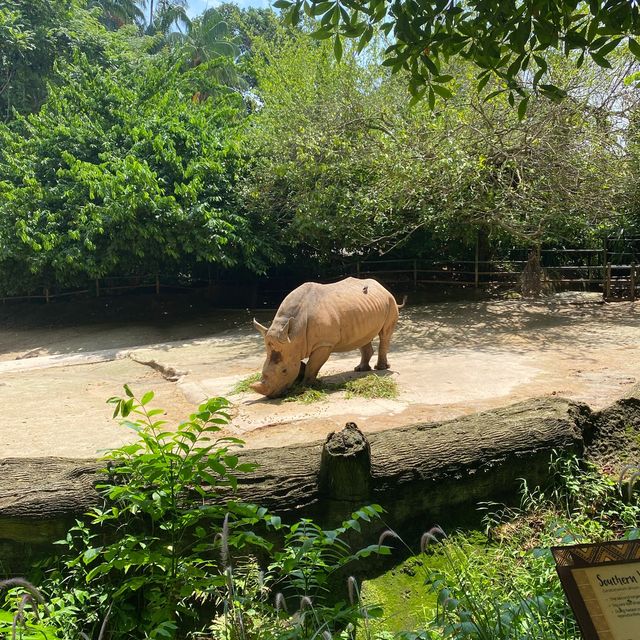 Singapore zoo