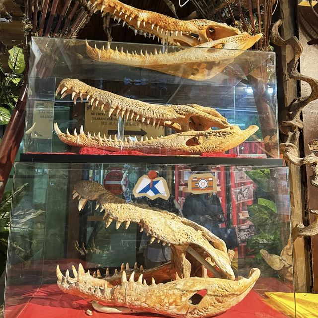 楊氏鱷魚場～挑戰刺激冒險！🐊🌴🔥