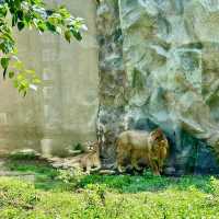 Manila Zoo