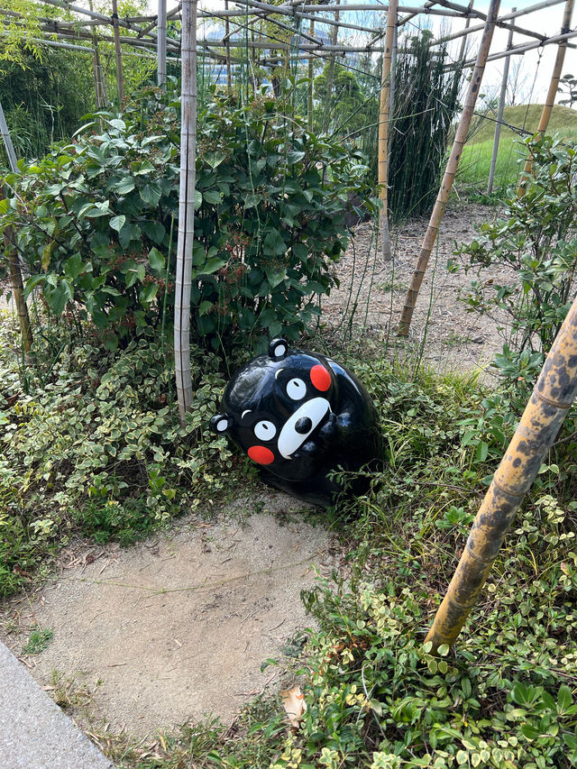 一定非常適合拍照打卡的熊本熊港八代