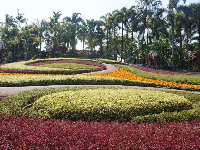 상암경기장 250배 크기의 정원, 눙눅빌리지🌴