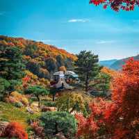 Beautiful Hwadam Botanic Garden I Autumn 
