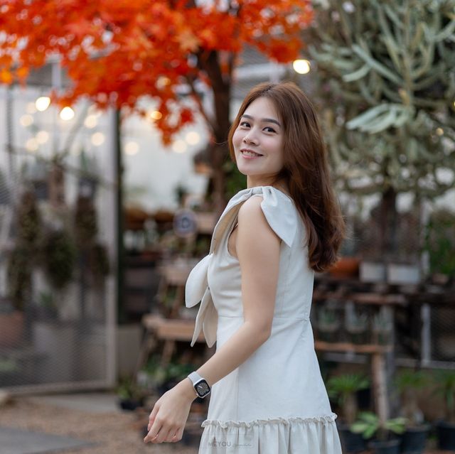 อุโมงค์เมเปิ้ลก็แค่กาญจนบุรี