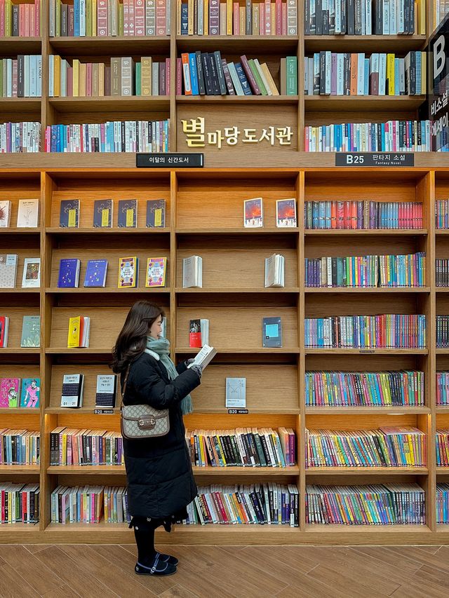 서울 실내데이트 하기좋은 코엑스 별마당도서관 트리