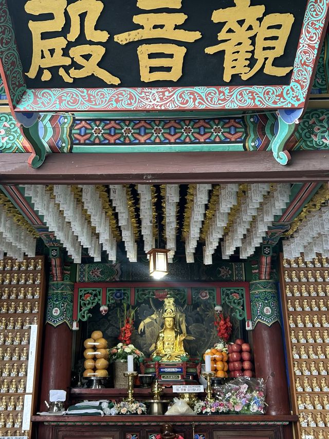 바다를 품은 아름다운 절, 여수 향일암🪷