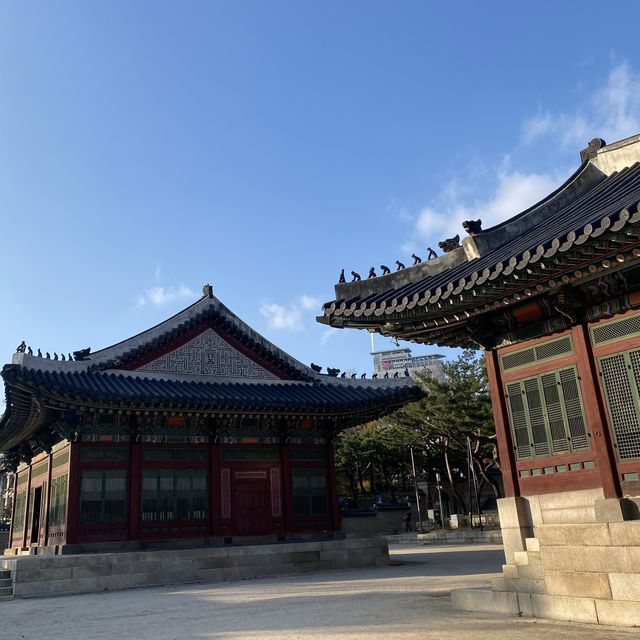 웅장한 석조건축물과 한국 전통의 궁을 동시에! 종로[덕수궁]