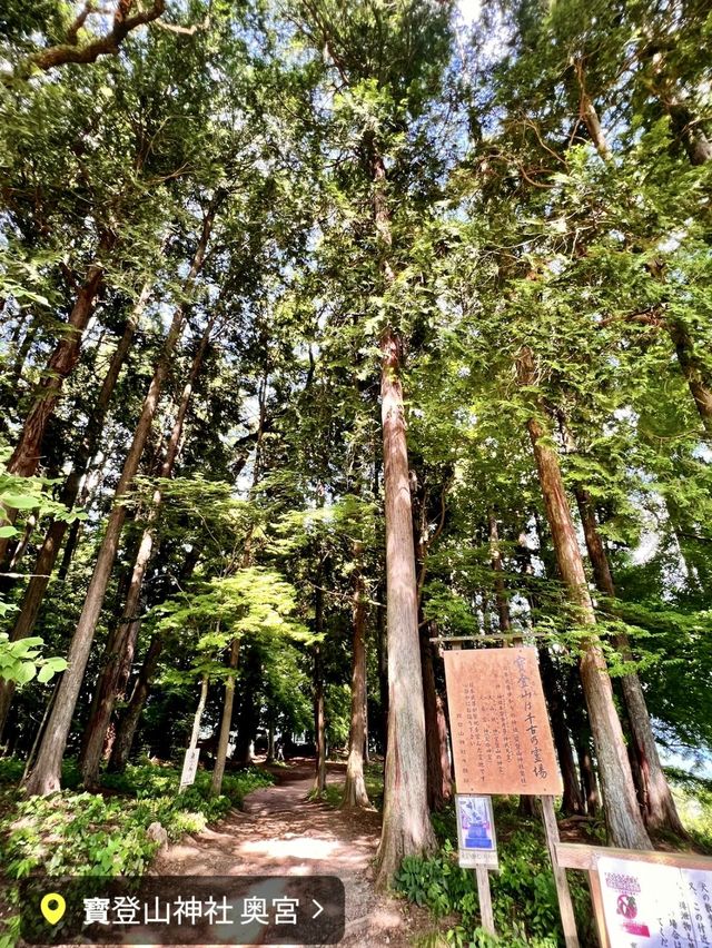 【長瀞強力パワースポット】宝登山神社奥宮