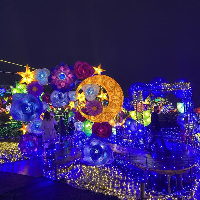 The Grand Illumination in Izu (7th Season) 