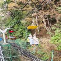 walking trail at Mt Takao