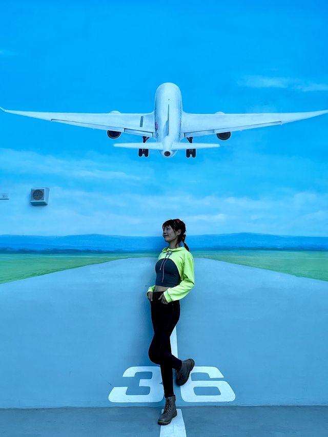 免費體驗搭乘飛機去✈️