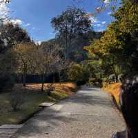 Day trip to Arashiyama- Japan