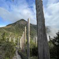 Wisdom Path 