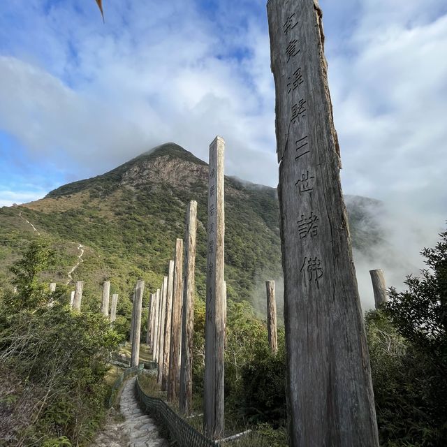 Wisdom Path 