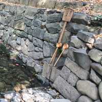 熱田神宮中女神神社【清水社】