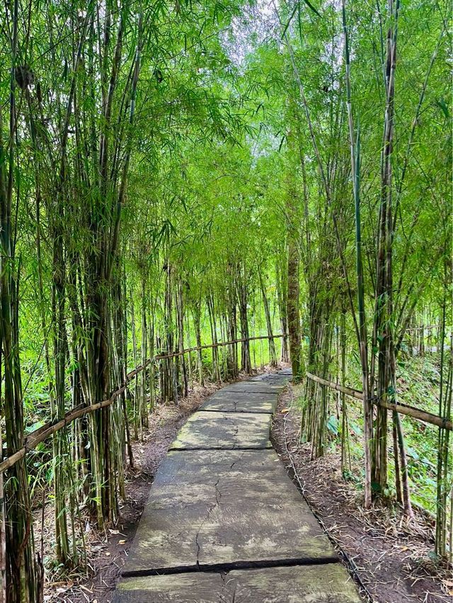 Suwat Waterfall, Ubud🌿