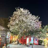 甘坑客家古鎮（打卡悠閑好去處）