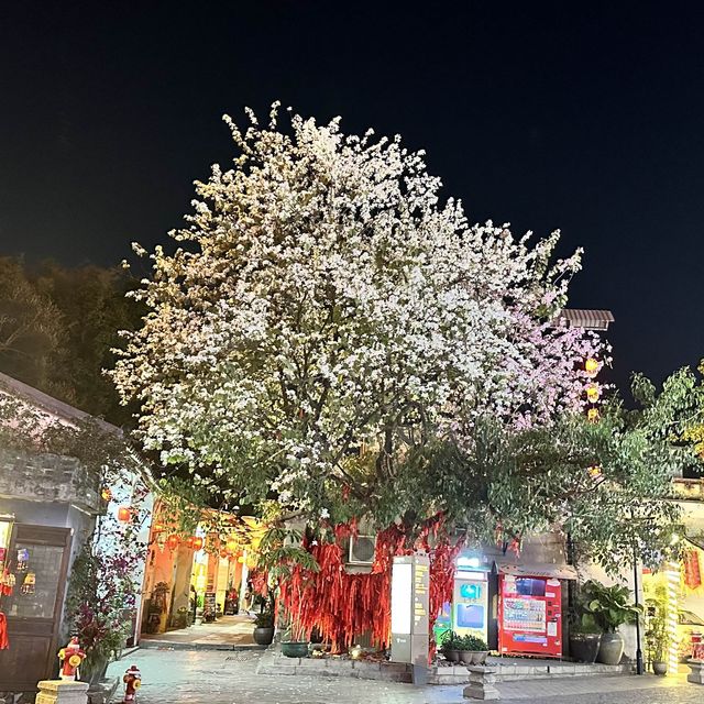 甘坑客家古鎮（打卡悠閑好去處）