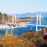 돌산대교를 한 눈에 볼 수 있는 돌산공원