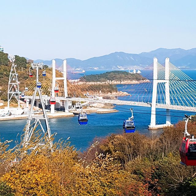 돌산대교를 한 눈에 볼 수 있는 돌산공원