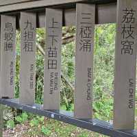回頭率甚高嘅印洲塘郊遊徑💕