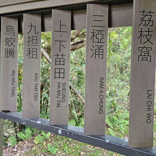 回頭率甚高嘅印洲塘郊遊徑💕