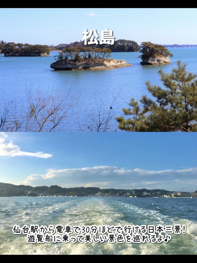 【宮城】絶対行くべき！行ってきた仙台の観光スポット7選