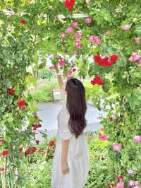 🌹서울대공원 장미원🌹