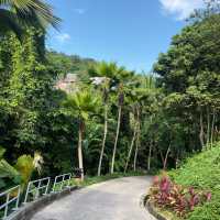 Four Seasons Resortโรงแรมสวยสุดประทับใจที่เกาะสมุย