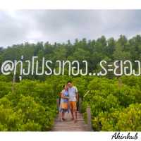 ทริประยอง ฉบับ Slow life