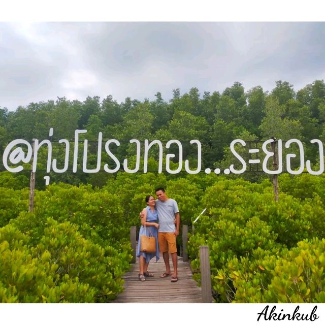 ทริประยอง ฉบับ Slow life ทริประยอง ฉบับ Slow life