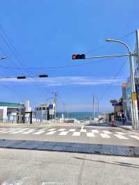슬램덩크가 떠오르는 부산 청사포 해변열차🚃
