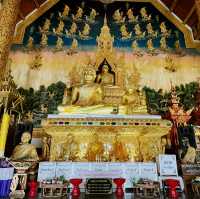 วัดทอง ของเมืองน่าน วัดศรีพันต้น🌟