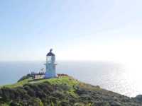 뉴질랜드의 최북단 Cape Reinga