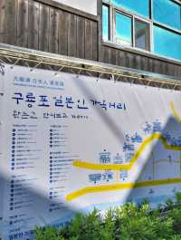 드라마 동백꽃필무렵 촬영지 구룡포 일본인가옥거리🌺