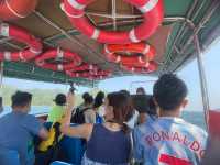 🌟小丑魚天堂🪸｜娥媚洲浮潛之旅🤿